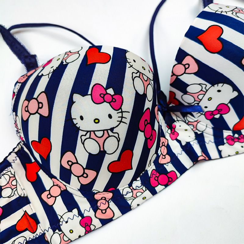 (Pack of 3) Hello Kitty Daily-wear Push-up Bra