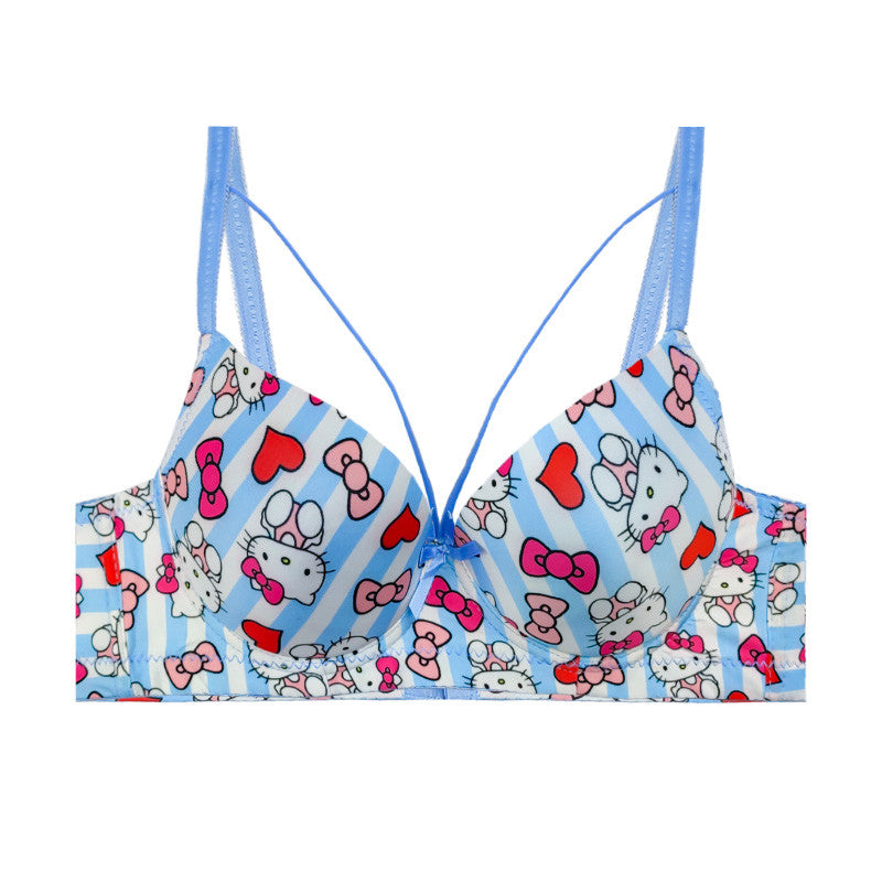 (Pack of 3) Hello Kitty Daily-wear Push-up Bra